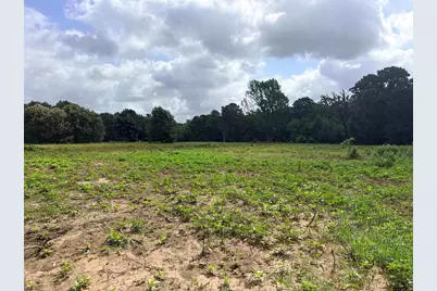 10268 N Fm 607, Brownsboro, TX 75756 - Photo 7