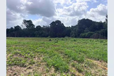 10268 N Fm 607, Brownsboro, TX 75756 - Photo 3