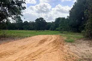 10268 N Fm 607, Brownsboro, TX 75756 - Photo 1