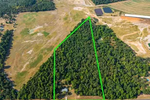 7990 E Hwy 154, Winnsboro, TX 75494 - Photo 5