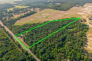 7990 E Hwy 154, Winnsboro, TX 75494 - Photo 13