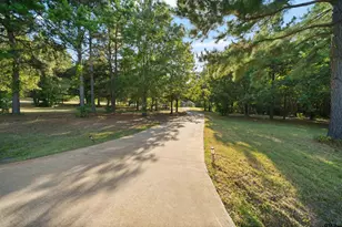 9253 Cr 3426, Brownsboro, TX 75756 - Photo 3