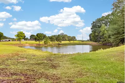 3690 Fm 49, Gilmer, TX 75644 - Photo 39