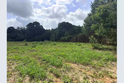 10268 N Fm 607, Brownsboro, TX 75756 - Photo 7