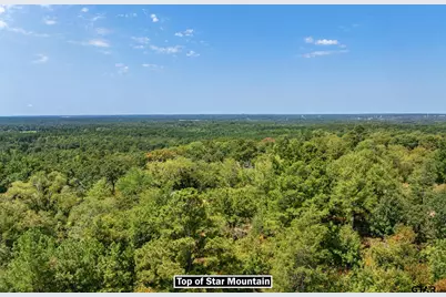 16144 W Valley View Court, Winona, TX 75792 - Photo 15