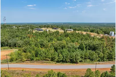 16144 W Valley View Court, Winona, TX 75792 - Photo 3