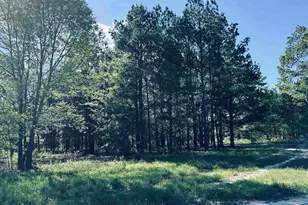 2609 N Fm 346, Bullard, TX 75757 - Photo 1