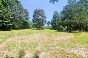 1115 Co Rd 3160, Quitman, TX 75783 - Photo 29