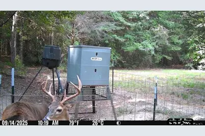 1115 County Road 3160, Quitman, TX 75783 - Photo 35