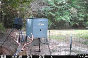 1115 Co Rd 3160, Quitman, TX 75783 - Photo 35