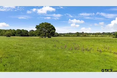 335 County Road 4802 & Hwy 110, Troup, TX 75789 - Photo 5