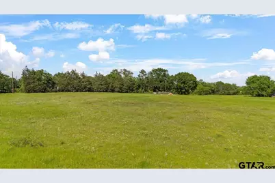 335 County Road 4802 & Hwy 110, Troup, TX 75789 - Photo 7