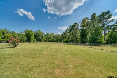 403 Eagle Court, Diana, TX 75640 - Photo 25
