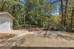 1343 Valleywood Trail, Holly Lake Ranch, TX 75765 - Photo 41