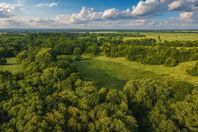 12251 Fm 16 E, Winona, TX 75792 - Photo 9