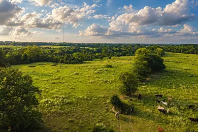 12251 Fm 16 E, Winona, TX 75792 - Photo 19