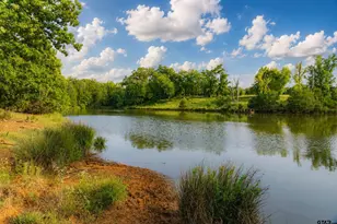 12251 Fm 16 E, Winona, TX 75792 - Photo 7
