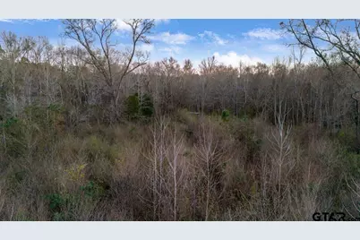 14871 Highway 110, Whitehouse, TX 75791 - Photo 11