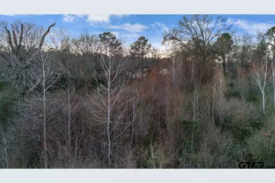 14871 Highway 110, Whitehouse, TX 75791 - Photo 13