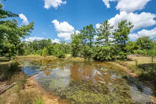 4358 E Cr 367, Henderson, TX 75654 - Photo 37