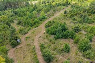 4358 E Cr 367, Henderson, TX 75654 - Photo 41