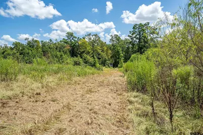 4358 E Cr 367, Henderson, TX 75654 - Photo 35