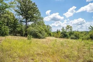 4358 E Cr 367, Henderson, TX 75654 - Photo 33