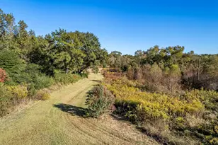 2600 Van Meter Rd, Kilgore, TX 75662 - Photo 47