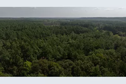 Tbd Cr 461, Laneville, TX 75667 - Photo 7