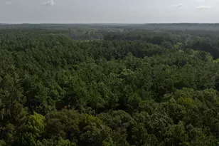 Tbd Cr 461, Laneville, TX 75667 - Photo 7