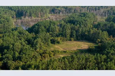 Tbd Cr 461, Laneville, TX 75667 - Photo 5