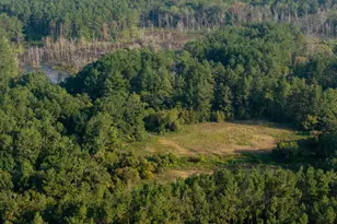 Tbd Cr 461, Laneville, TX 75667 - Photo 5