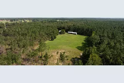 Tbd Cr 461, Laneville, TX 75667 - Photo 3