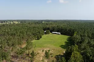 Tbd Cr 461, Laneville, TX 75667 - Photo 3