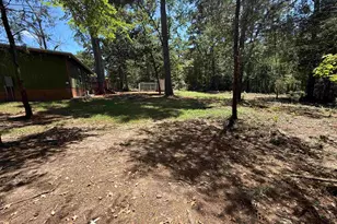 556 Co Rd 2128, Quitman, TX 75783 - Photo 3