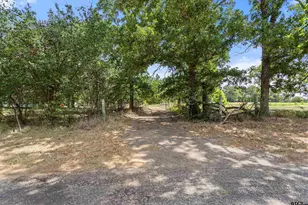 200 County Road 4253, Palestine, TX 75801 - Photo 23