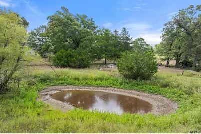 200 County Road 4253, Palestine, TX 75801 - Photo 3