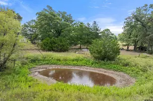 200 County Road 4253, Palestine, TX 75801 - Photo 3