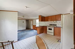 200 County Road 4253, Palestine, TX 75801 - Photo 37