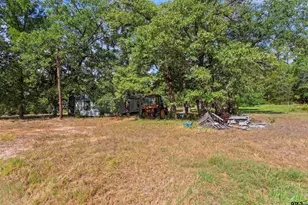 200 County Road 4253, Palestine, TX 75801 - Photo 35