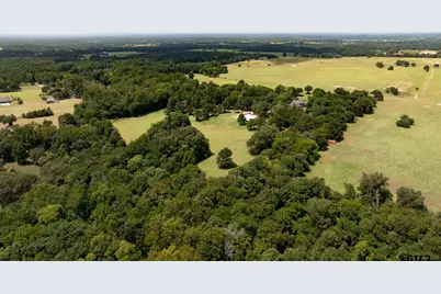 4480 Fm 2137 N, Bullard, TX 75757 - Photo 3