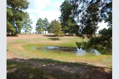 5000 Glenwood Dr, Gilmer, TX 75645 - Photo 3