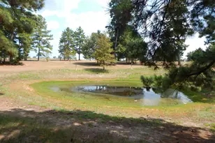 5000 Glenwood Dr, Gilmer, TX 75645 - Photo 3