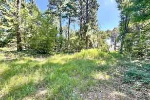 10528 FM 344, Bullard, TX 75757 - Photo 17