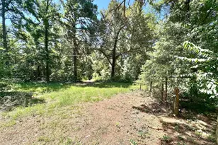 10528 FM 344, Bullard, TX 75757 - Photo 7