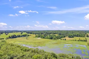12250 Co Rd 3513, Brownsboro, TX 75756 - Photo 9