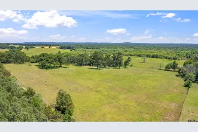 12250 Cr 3513, Brownsboro, TX 75756 - Photo 3
