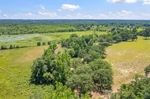 12250 Co Rd 3513, Brownsboro, TX 75756 - Photo 3