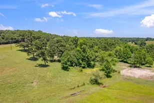 12250 Co Rd 3513, Brownsboro, TX 75756 - Photo 25