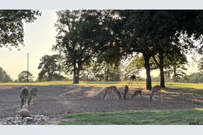 145 Private Road 7004, Frankston, TX 75763 - Photo 25